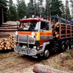 Техника для транспортировки древесины